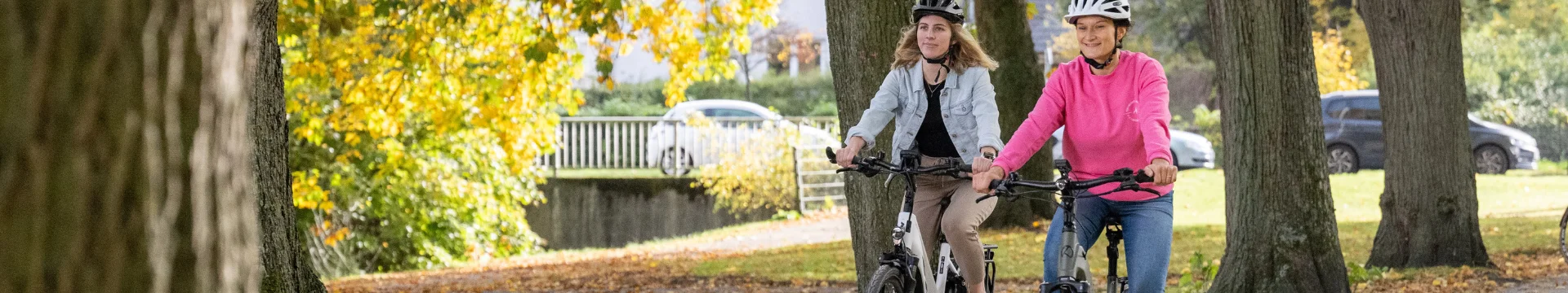 E-Bikes E-Bikes