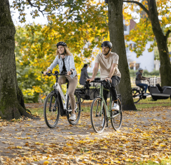 Bestelle-ein-Bike-online Bestelle-ein-Bike-online