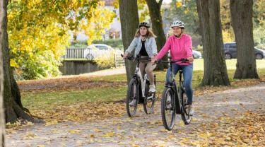 E-Bikes E-Bikes