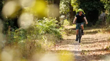 XXL E-Bike XXL E-Bike